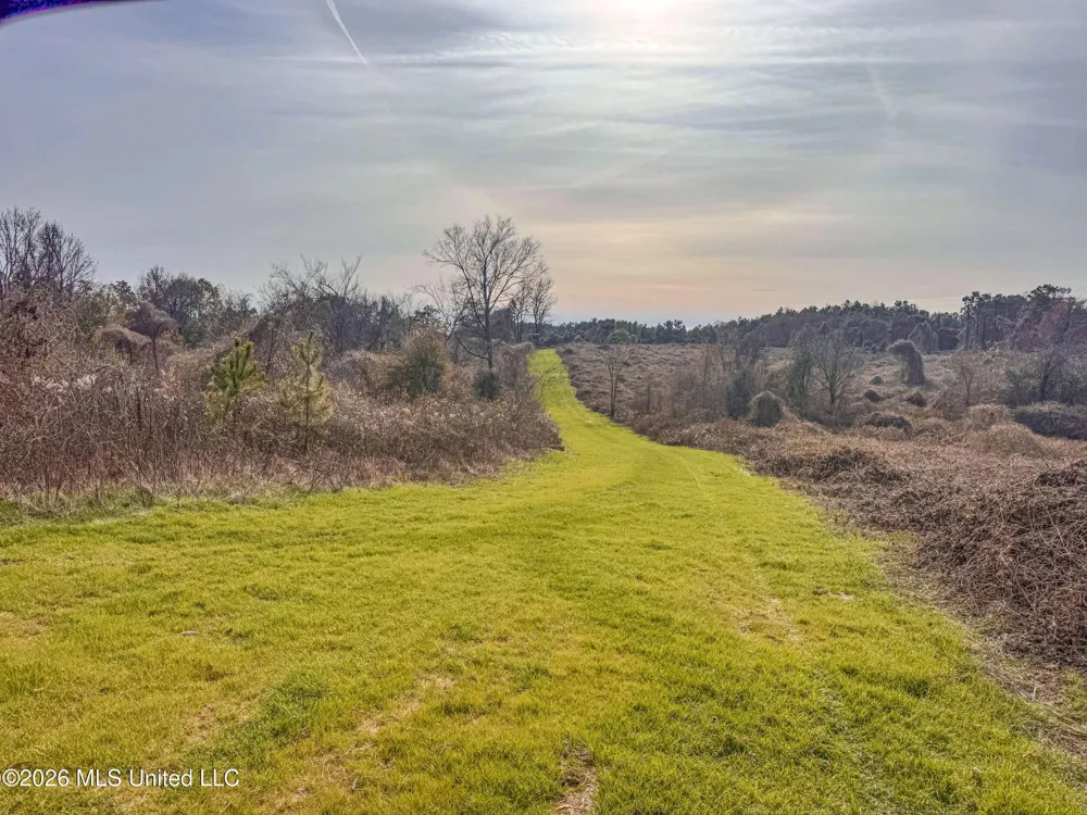 Chinqupin Road Lexington, MS 39095