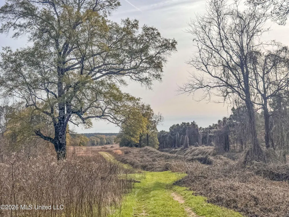 Chinqupin Road Lexington, MS 39095