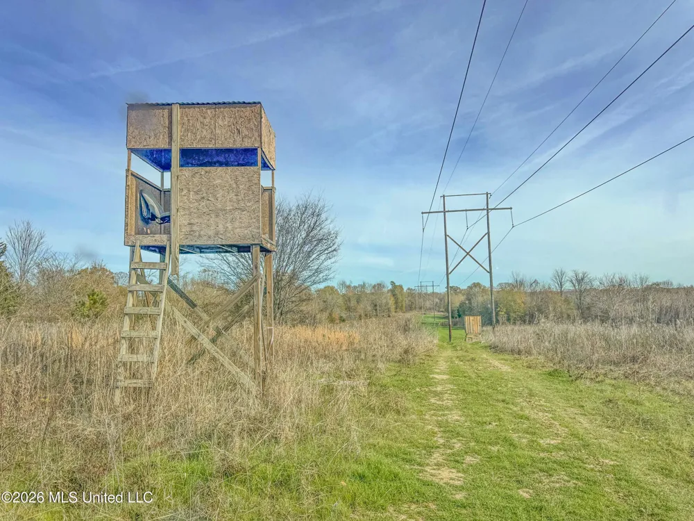 Chinqupin Road Lexington, MS 39095
