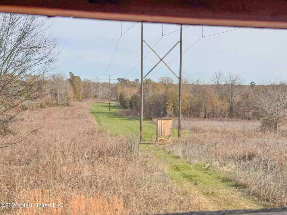 Chinqupin Road Lexington, MS 39095