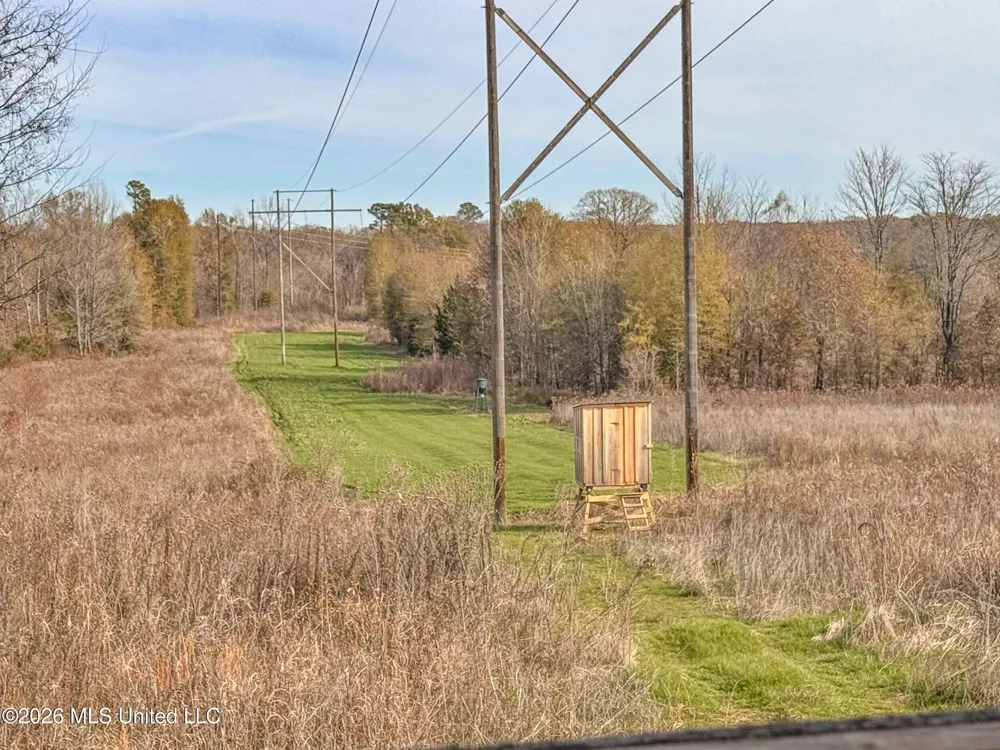 Chinqupin Road Lexington, MS 39095
