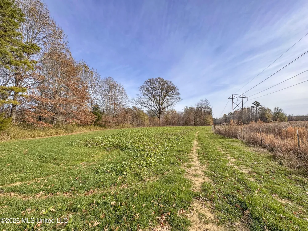 Chinqupin Road Lexington, MS 39095