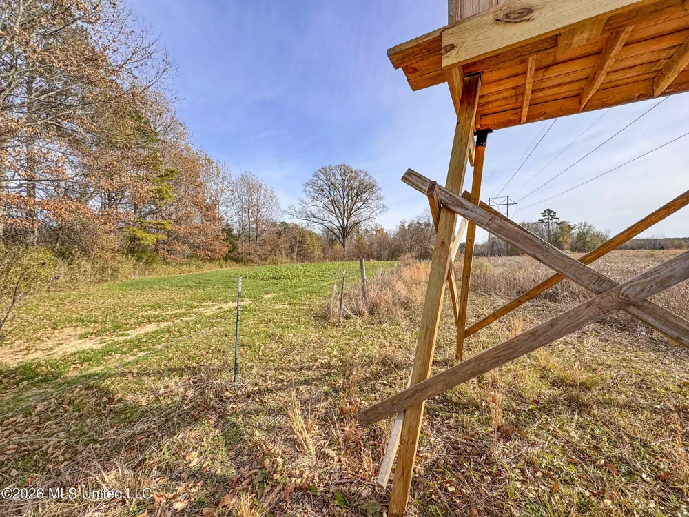 Chinqupin Road Lexington, MS 39095