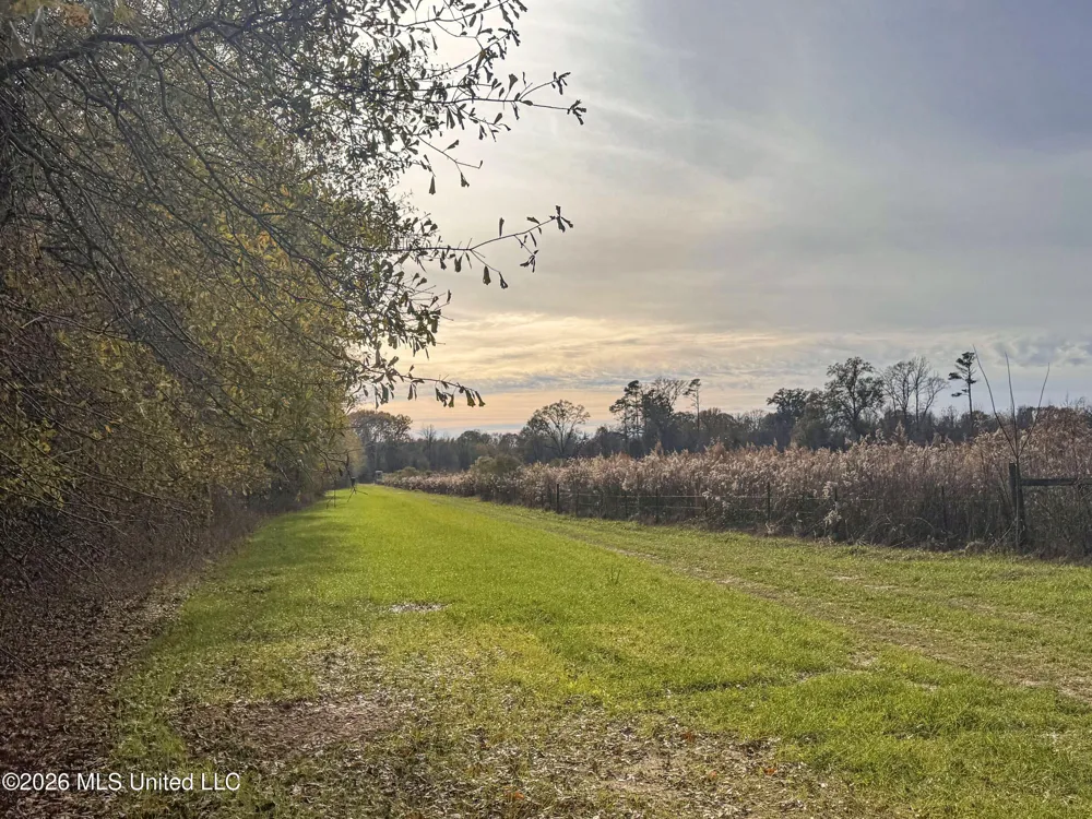 Chinqupin Road Lexington, MS 39095