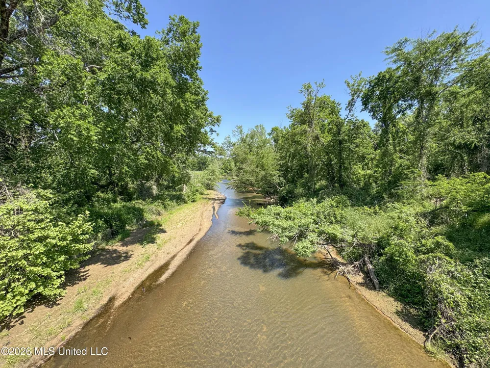 Chinqupin Road Lexington, MS 39095