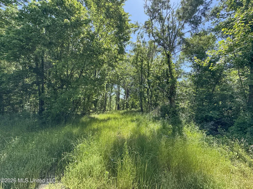 Chinqupin Road Lexington, MS 39095