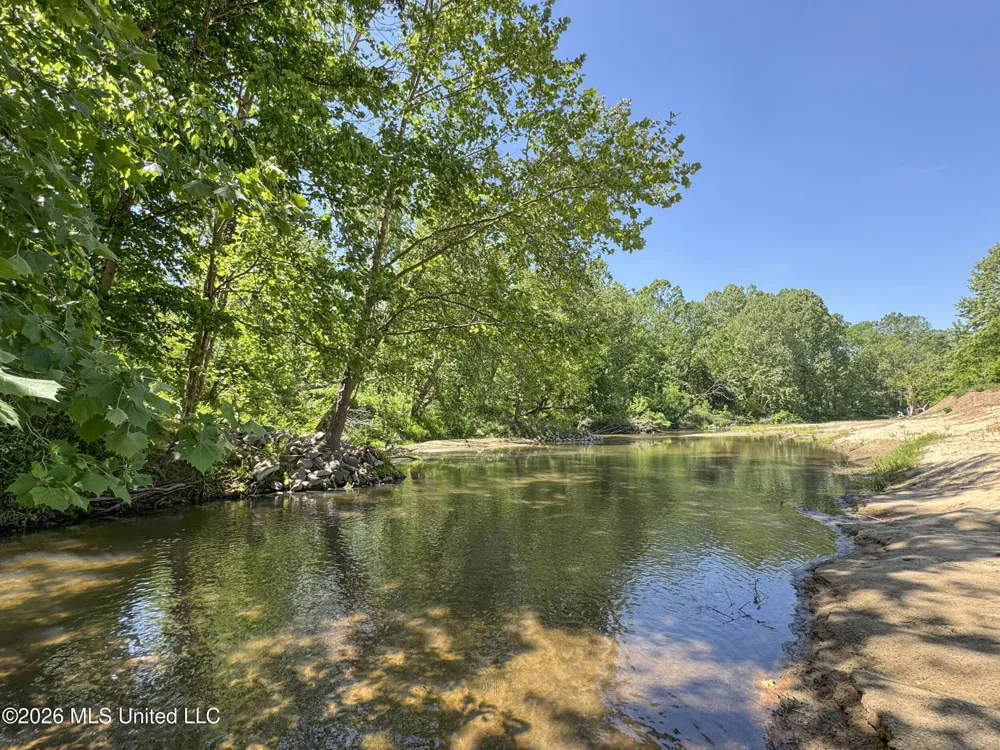 Chinqupin Road Lexington, MS 39095