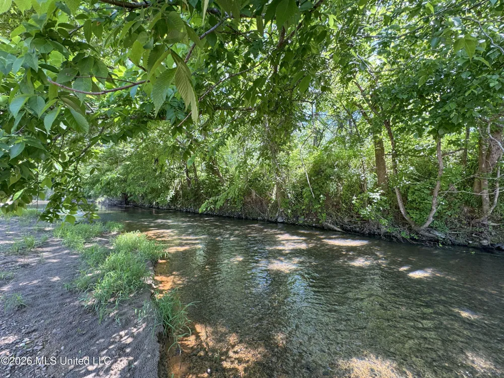 Chinqupin Road Lexington, MS 39095