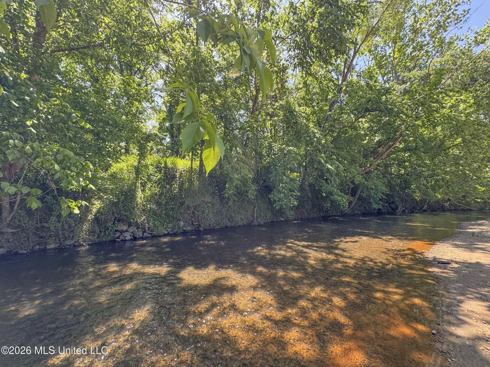 Chinqupin Road Lexington, MS 39095