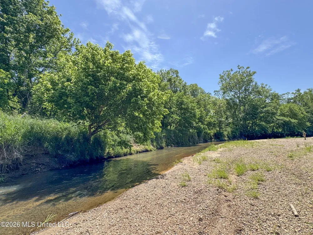 Chinqupin Road Lexington, MS 39095