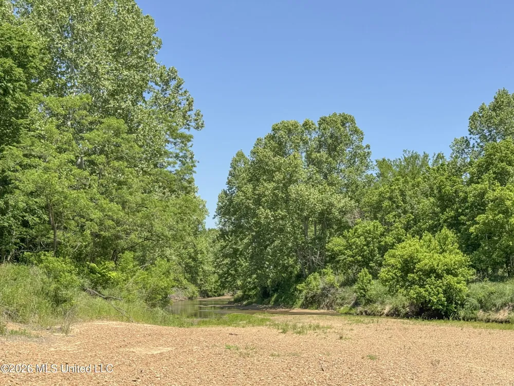Chinqupin Road Lexington, MS 39095