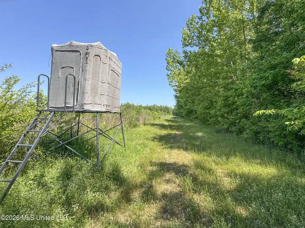 Chinqupin Road Lexington, MS 39095