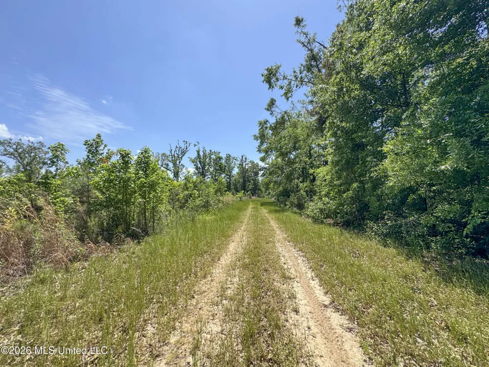 Chinqupin Road Lexington, MS 39095