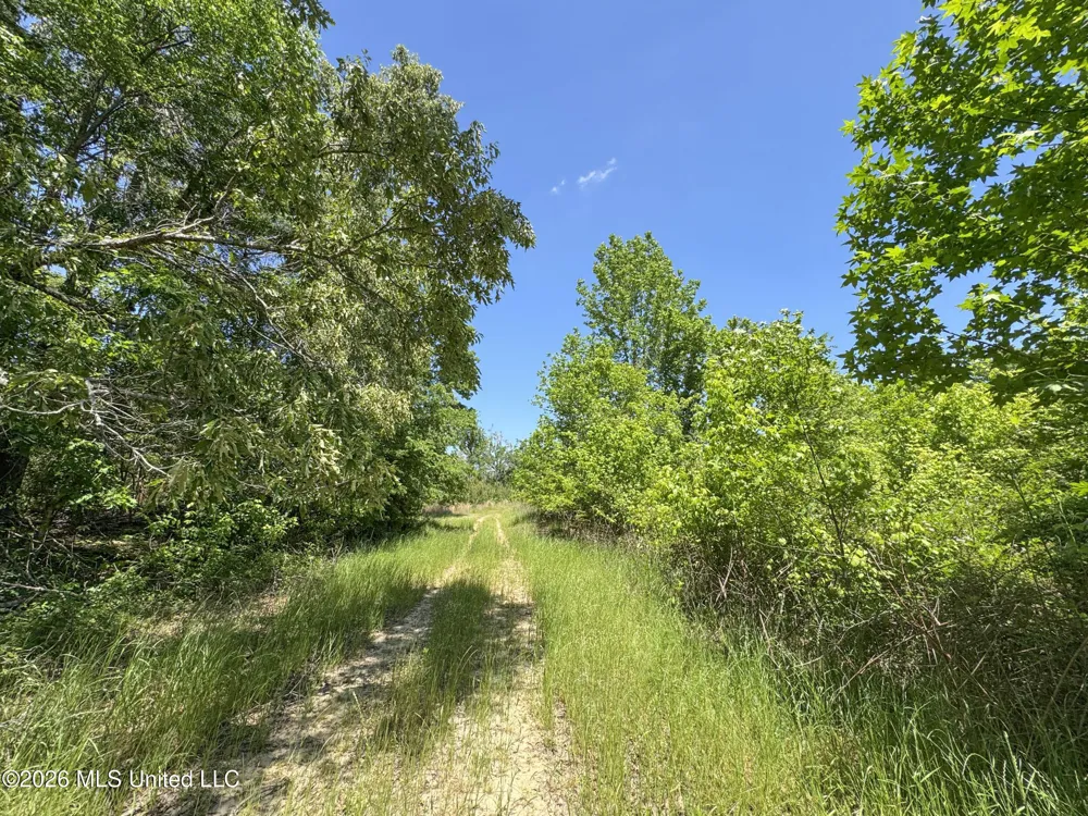 Chinqupin Road Lexington, MS 39095