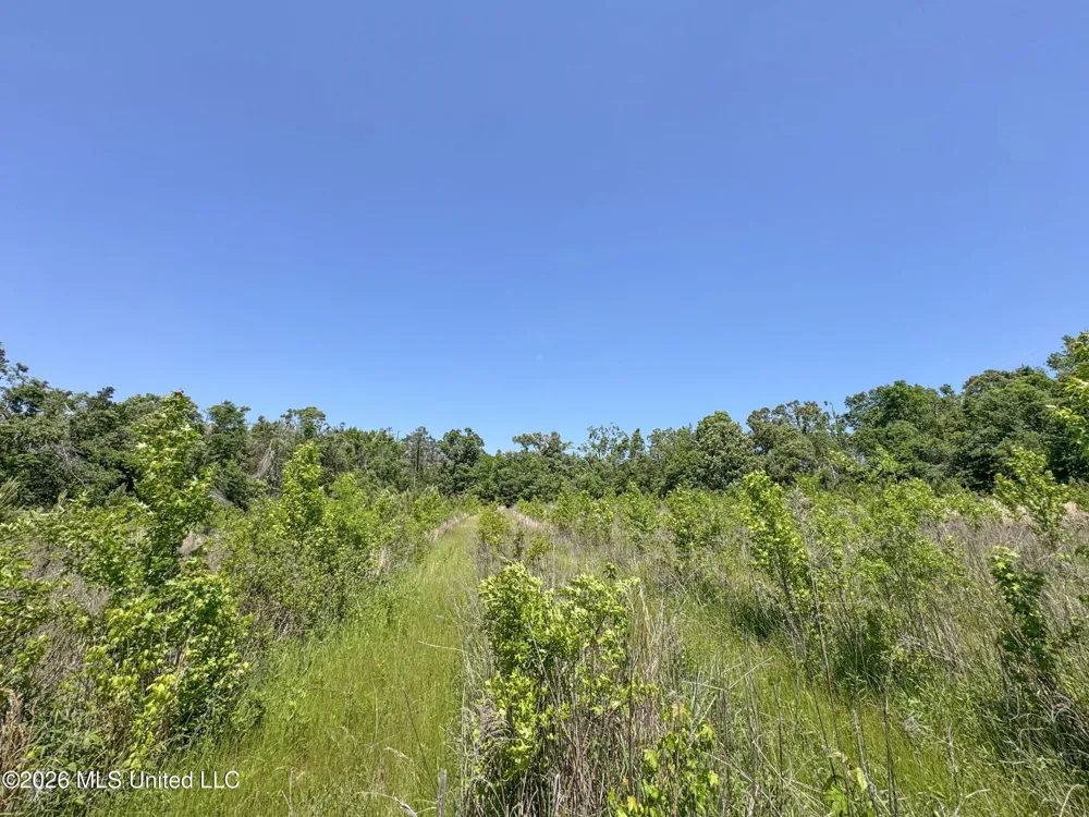 Chinqupin Road Lexington, MS 39095