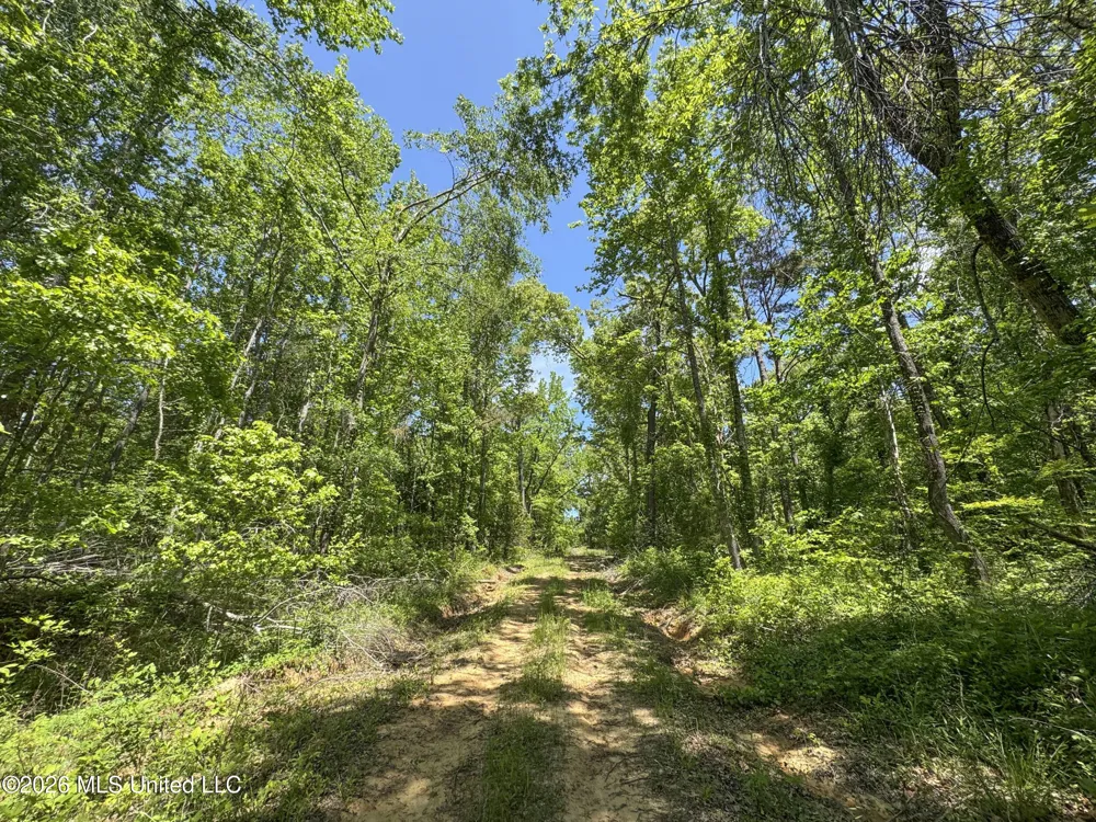 Chinqupin Road Lexington, MS 39095