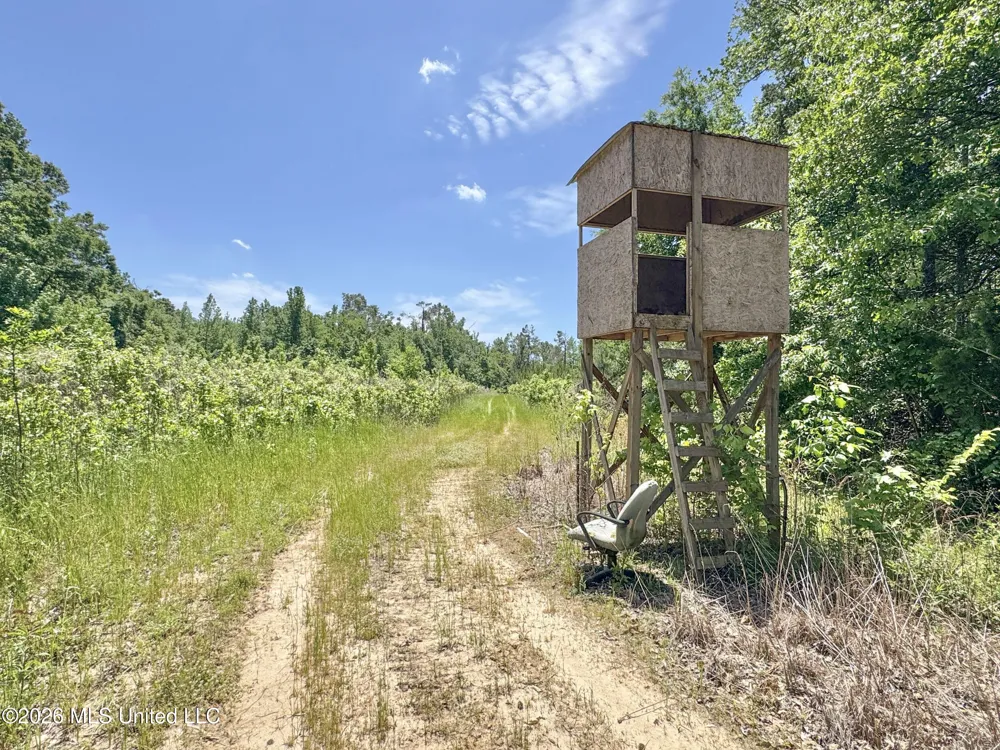 Chinqupin Road Lexington, MS 39095