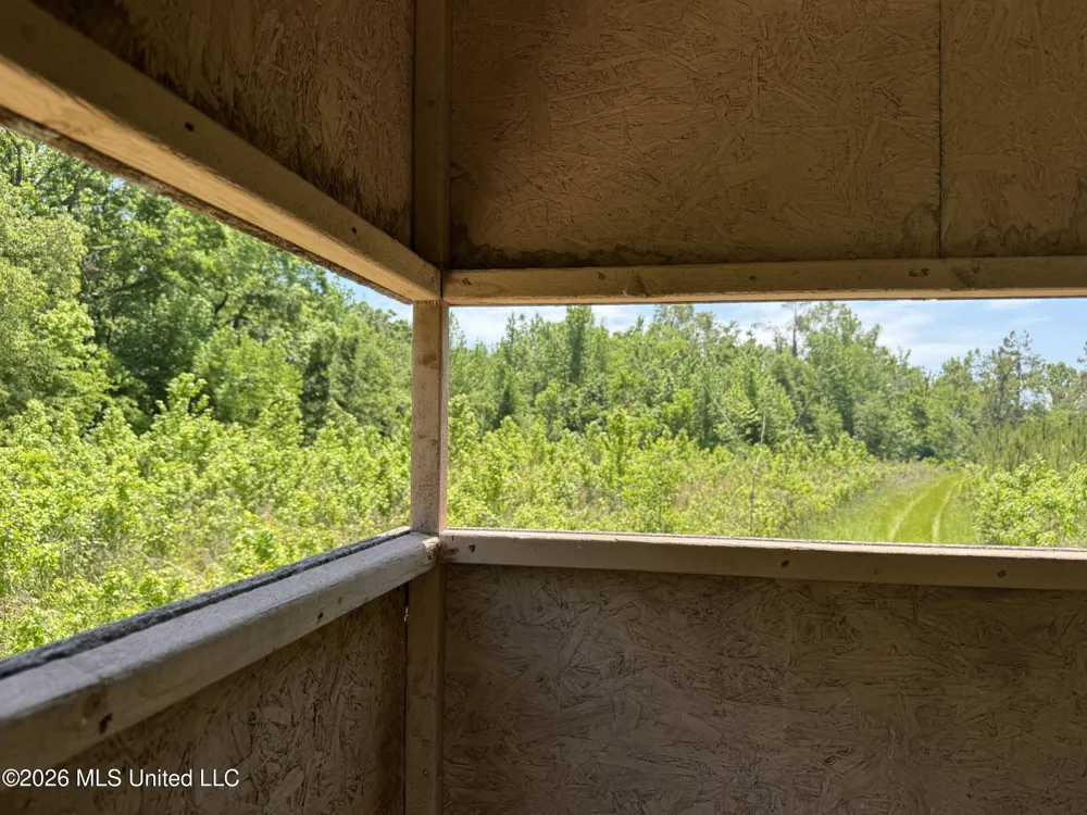 Chinqupin Road Lexington, MS 39095