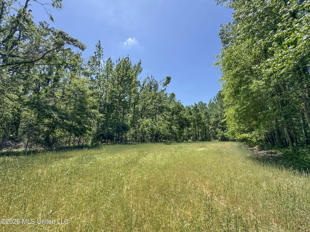 Chinqupin Road Lexington, MS 39095