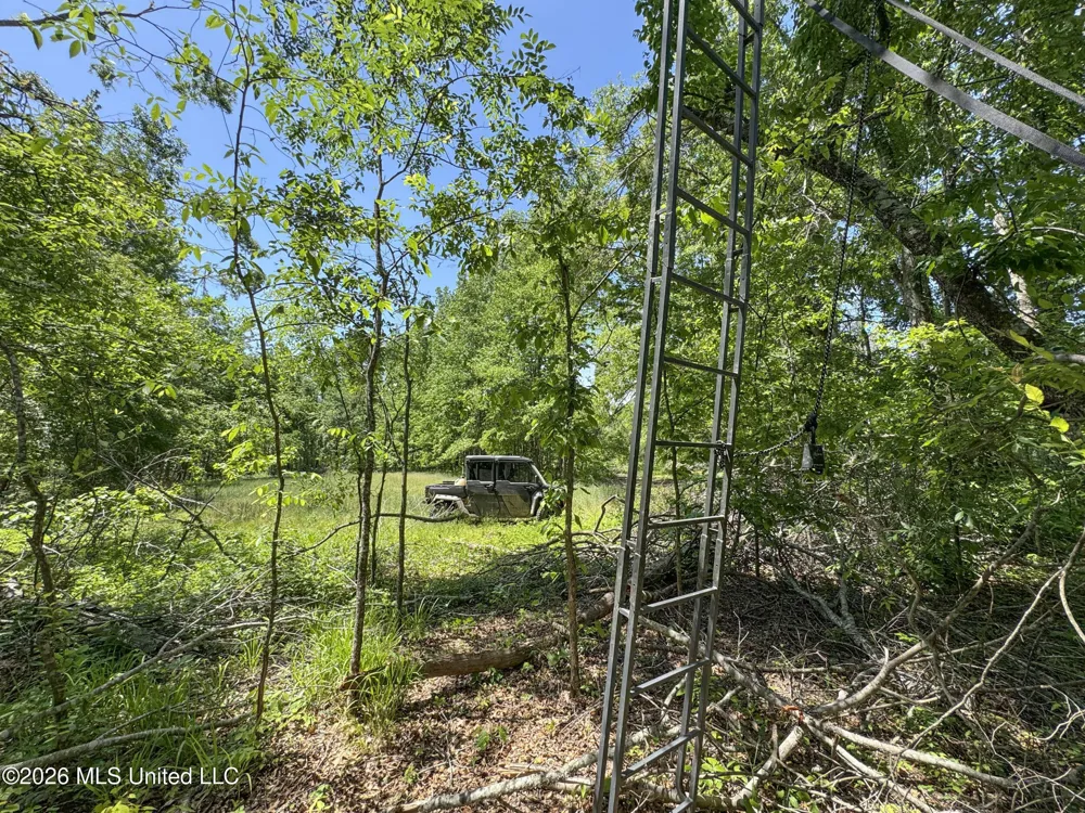 Chinqupin Road Lexington, MS 39095