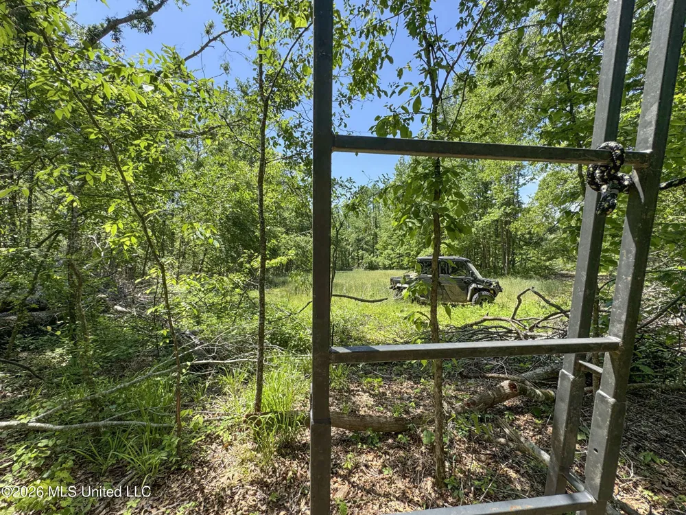 Chinqupin Road Lexington, MS 39095