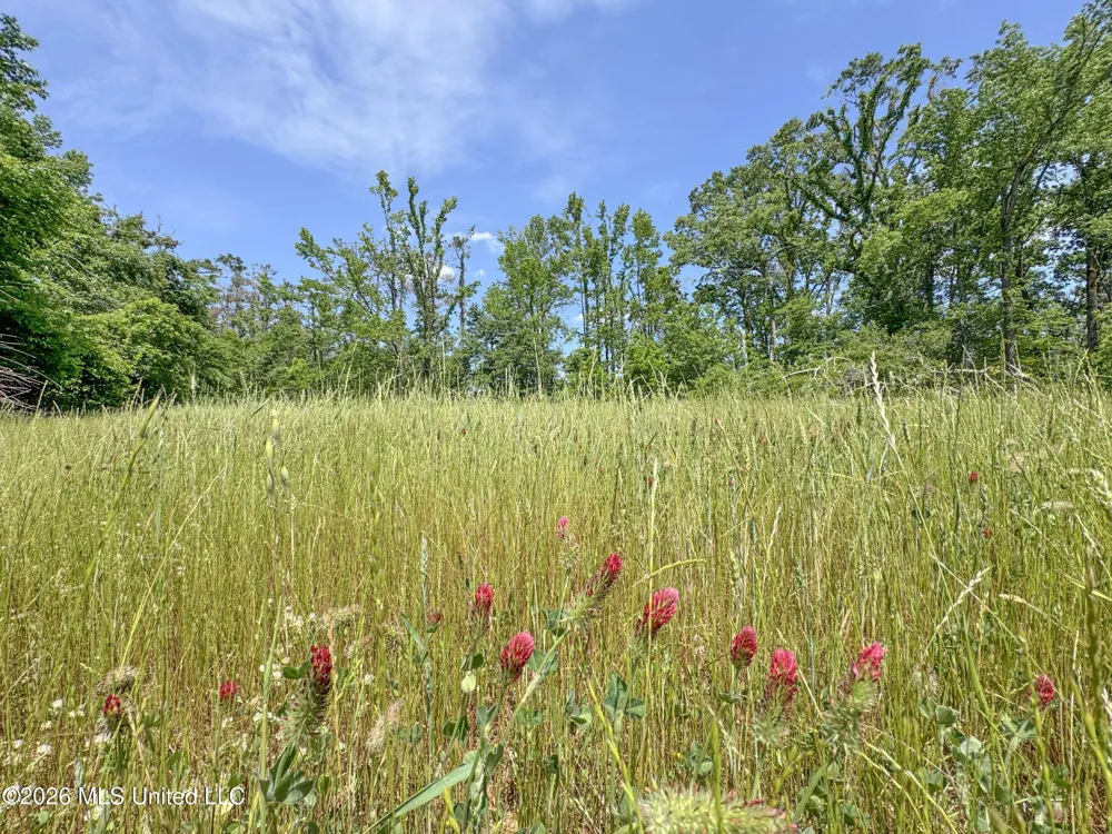 Chinqupin Road Lexington, MS 39095