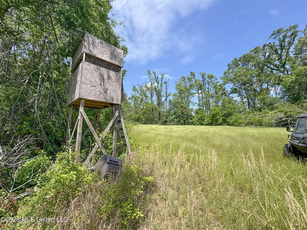 Chinqupin Road Lexington, MS 39095