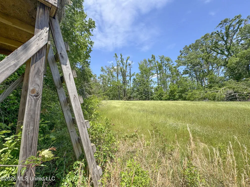 Chinqupin Road Lexington, MS 39095