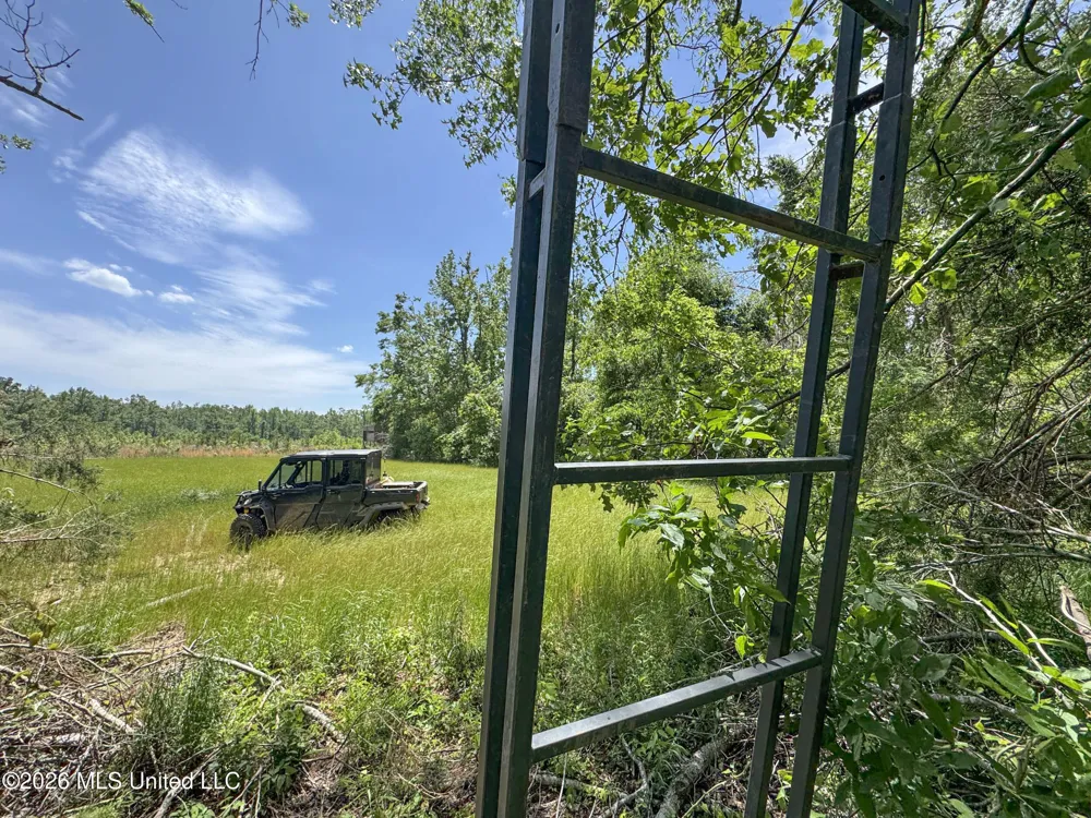 Chinqupin Road Lexington, MS 39095