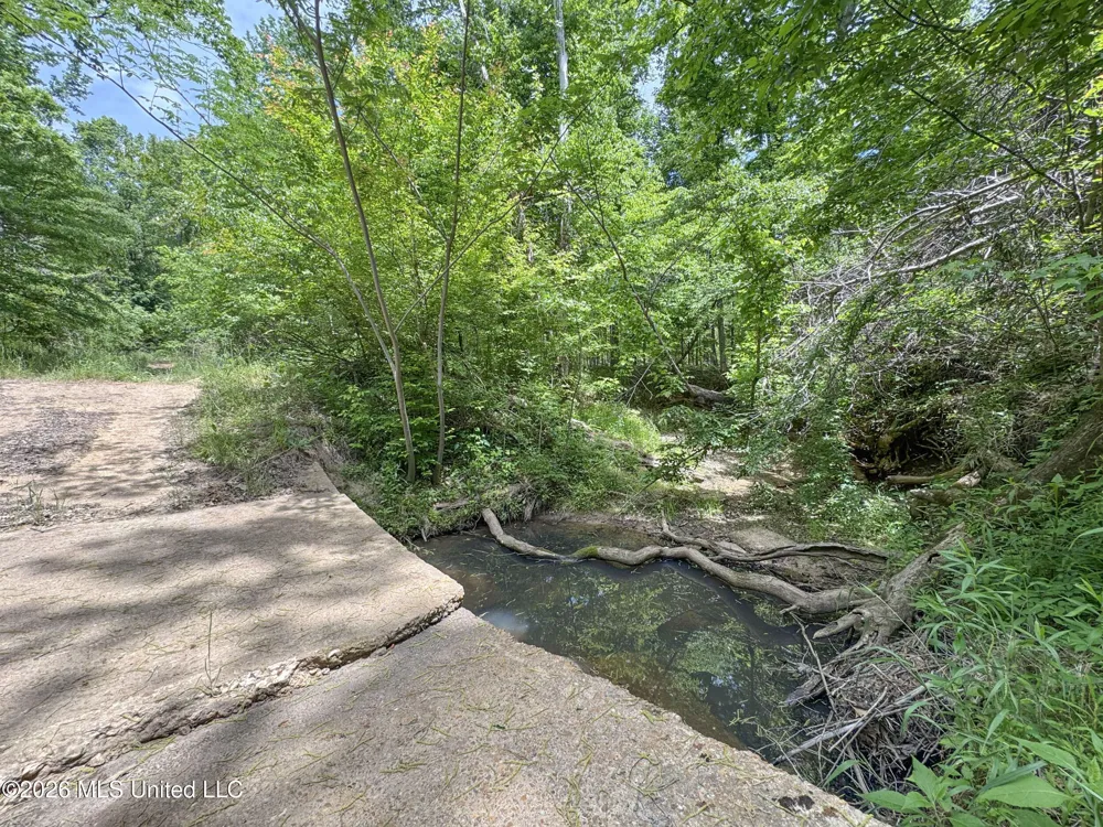 Chinqupin Road Lexington, MS 39095