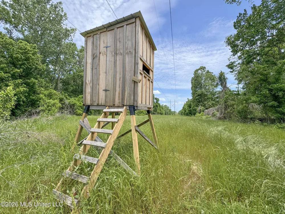 Chinqupin Road Lexington, MS 39095