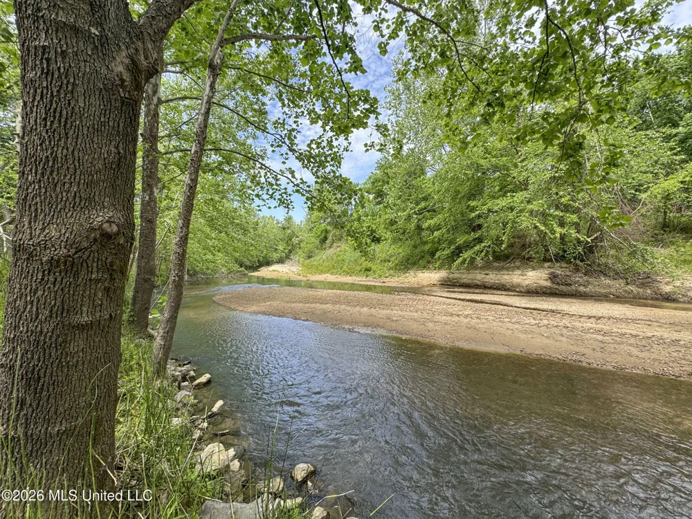 Chinqupin Road Lexington, MS 39095