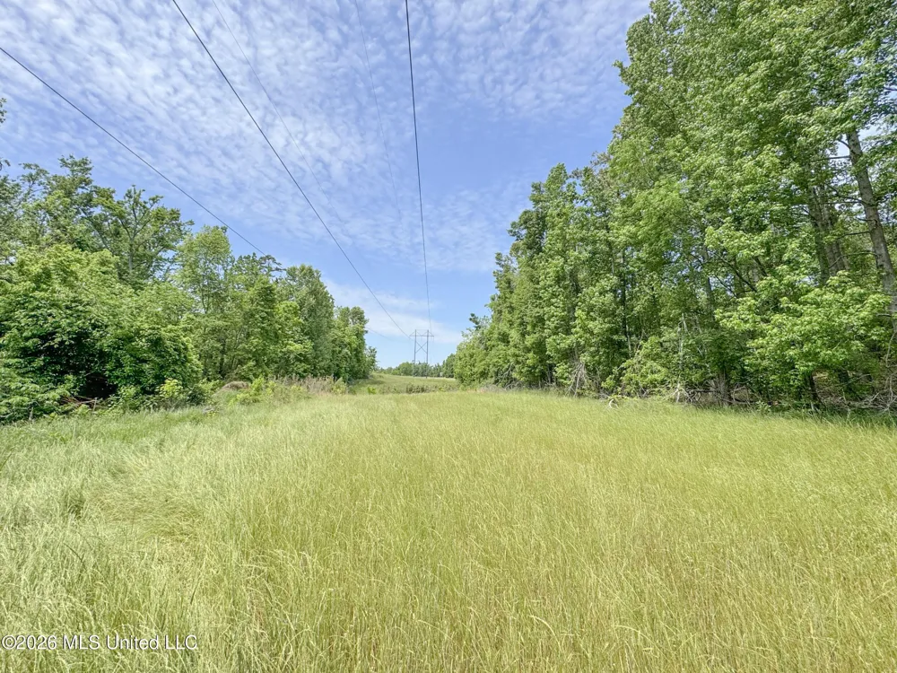 Chinqupin Road Lexington, MS 39095
