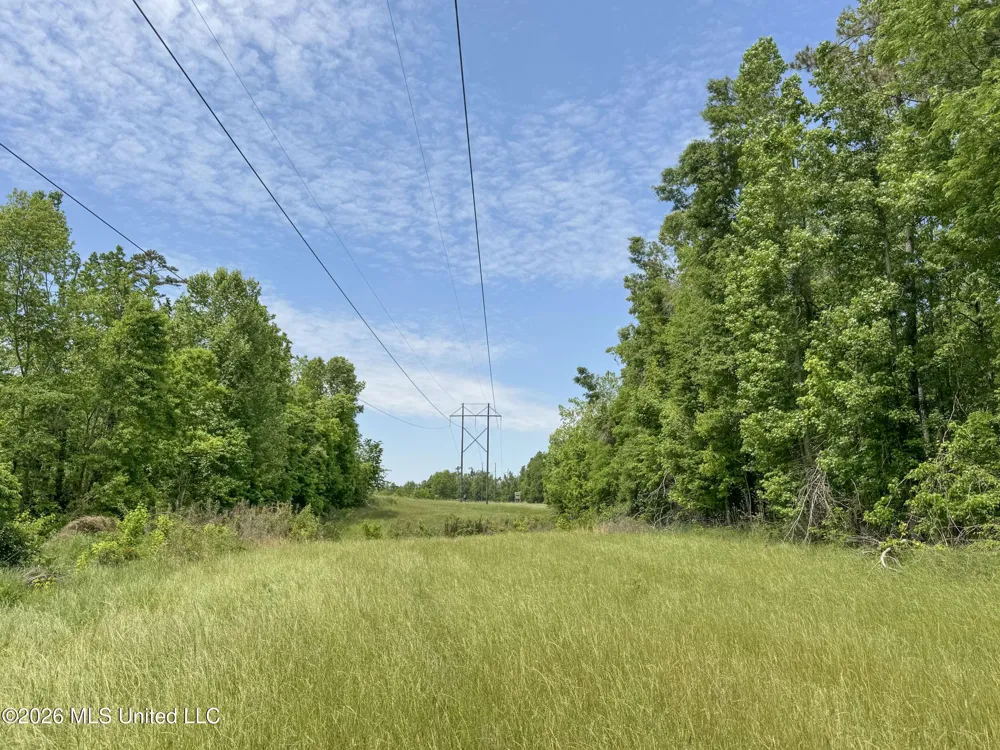 Chinqupin Road Lexington, MS 39095