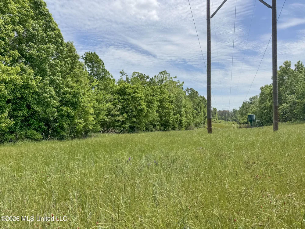 Chinqupin Road Lexington, MS 39095