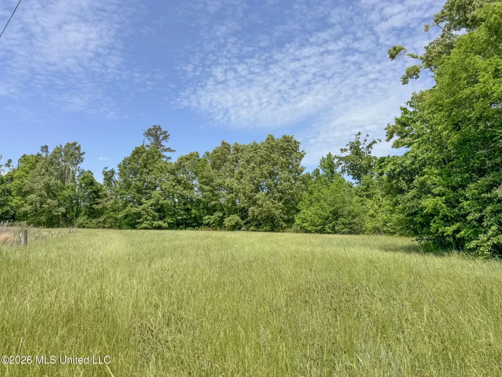 Chinqupin Road Lexington, MS 39095