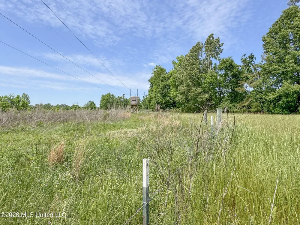 Chinqupin Road Lexington, MS 39095