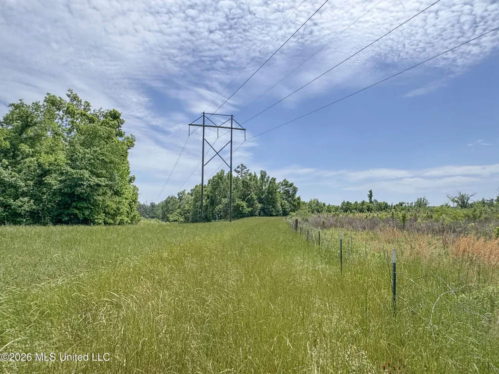 Chinqupin Road Lexington, MS 39095