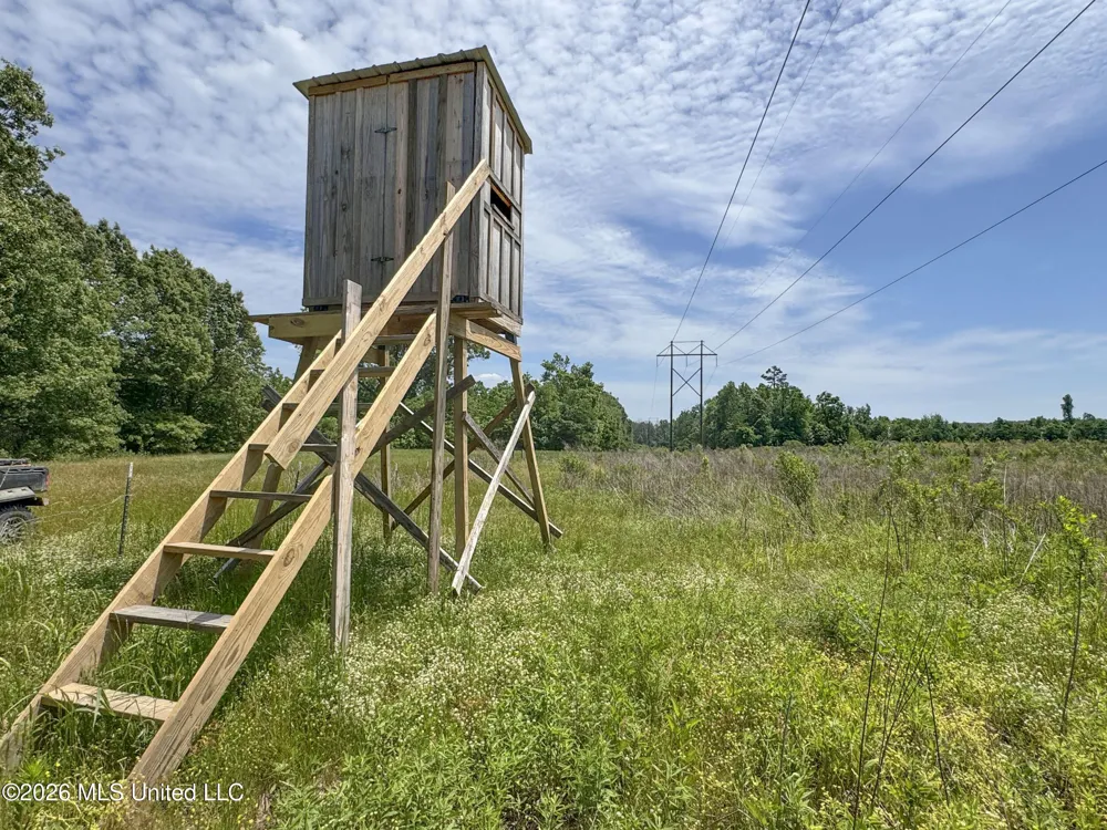 Chinqupin Road Lexington, MS 39095