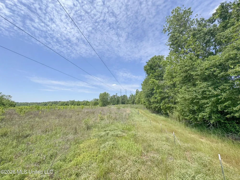 Chinqupin Road Lexington, MS 39095