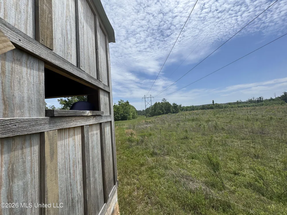 Chinqupin Road Lexington, MS 39095