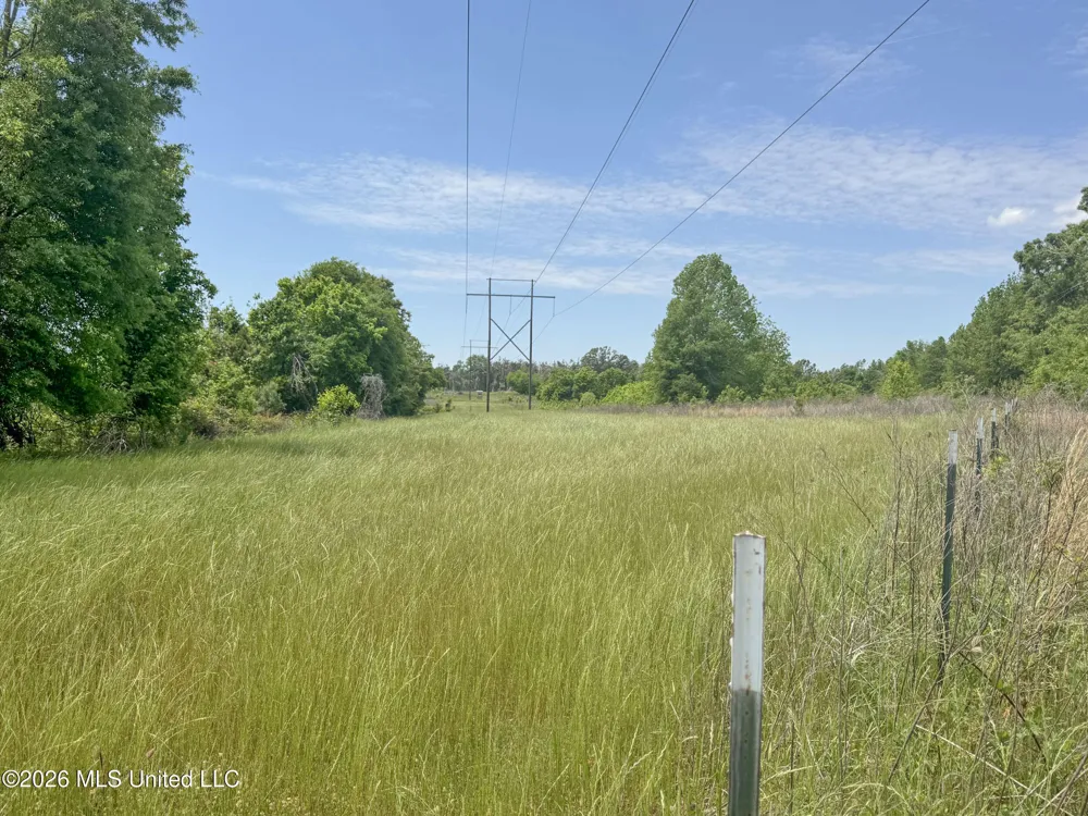 Chinqupin Road Lexington, MS 39095