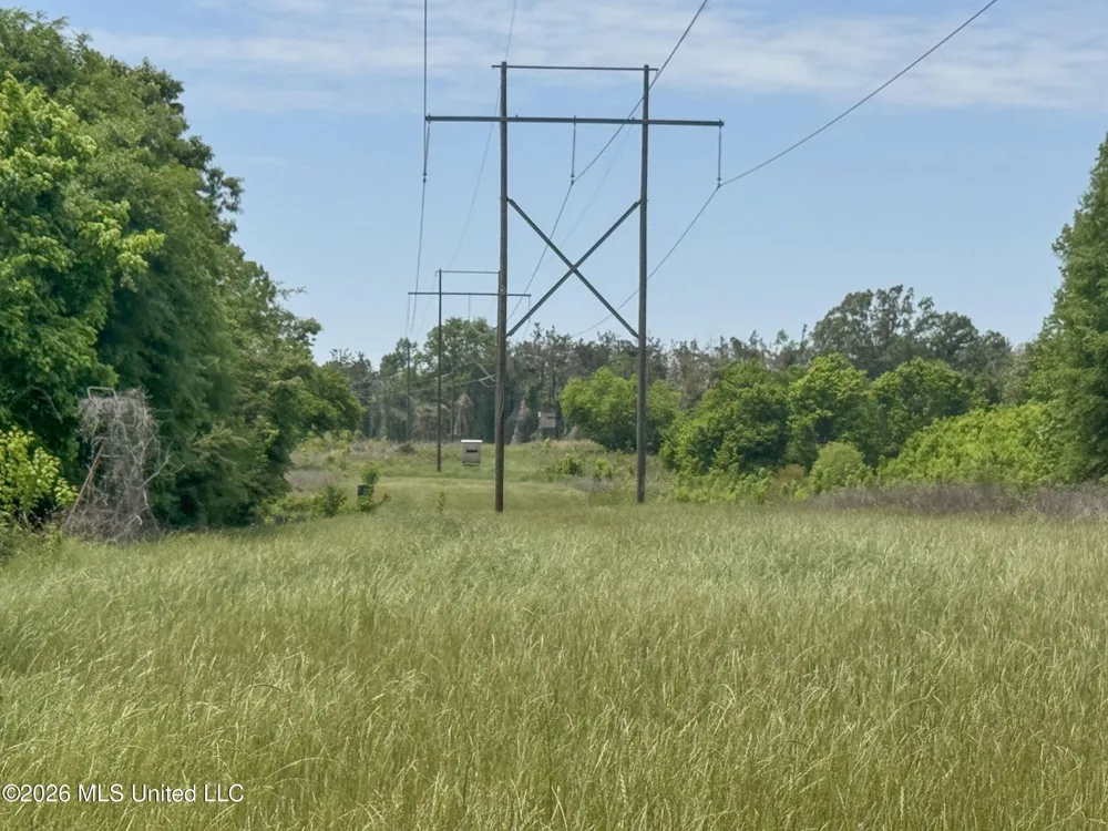 Chinqupin Road Lexington, MS 39095