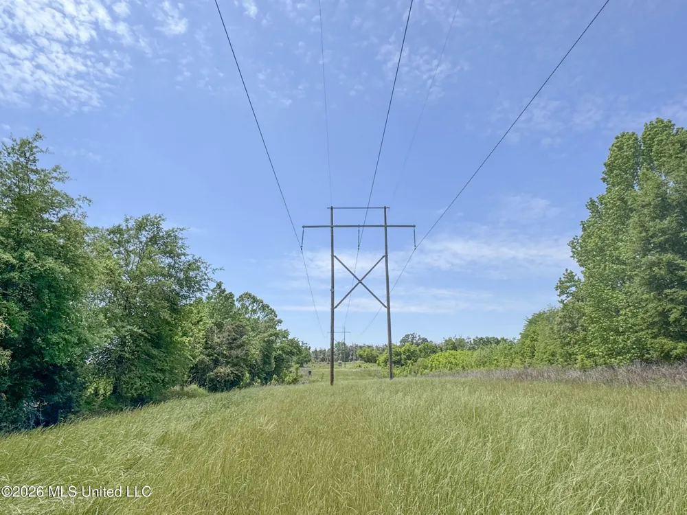 Chinqupin Road Lexington, MS 39095