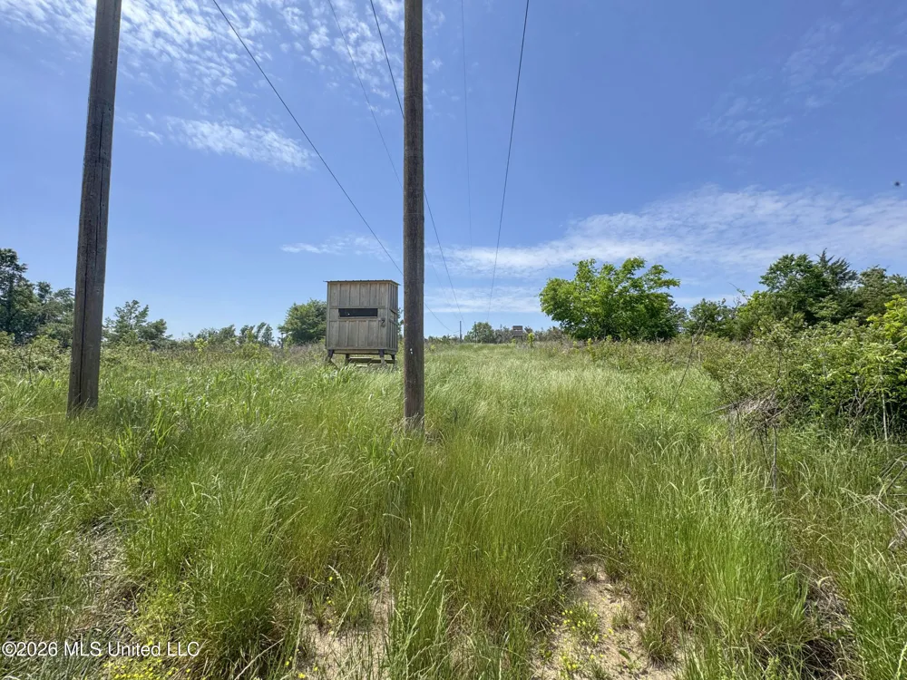 Chinqupin Road Lexington, MS 39095