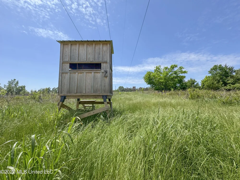 Chinqupin Road Lexington, MS 39095