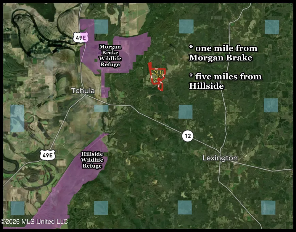 Chinqupin Road Lexington, MS 39095