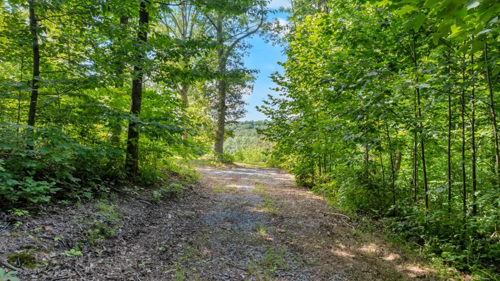 0 Coconut Ridge Road Smithville, TN 37166