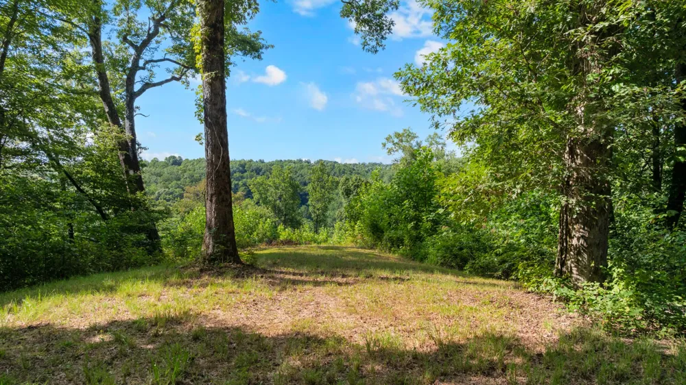 0 Coconut Ridge Road Smithville, TN 37166