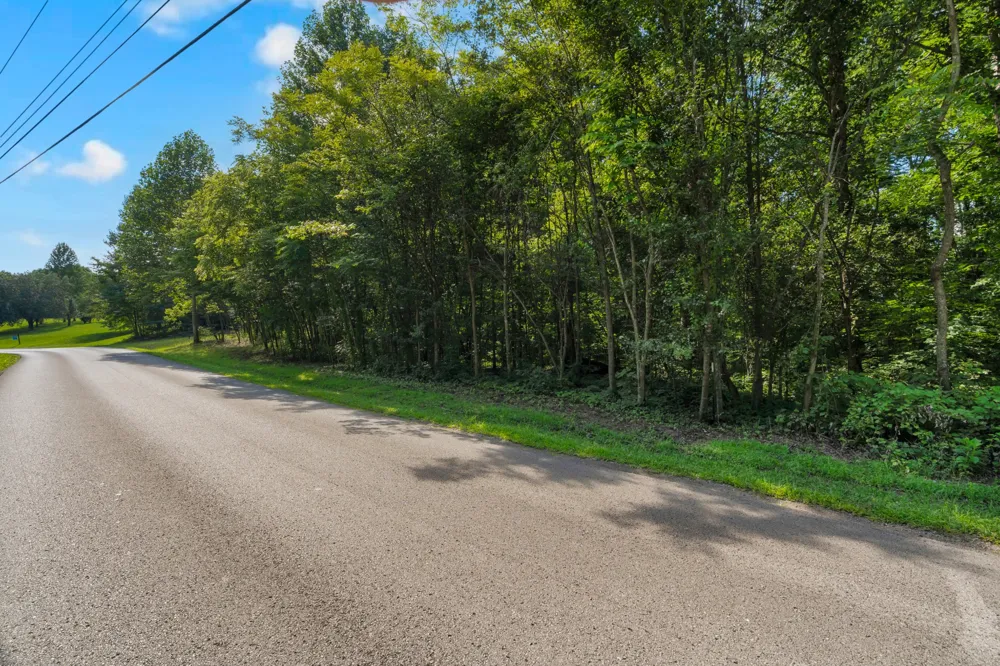 0 Coconut Ridge Road Smithville, TN 37166